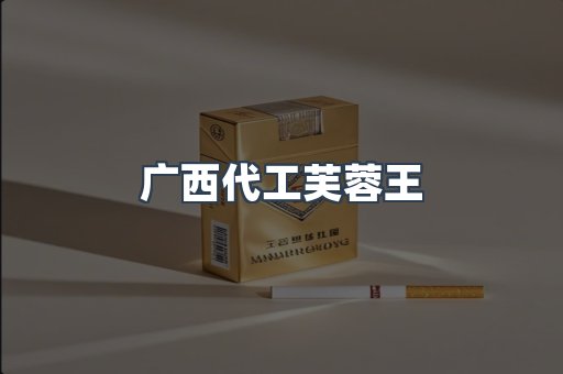 广西代工芙蓉王